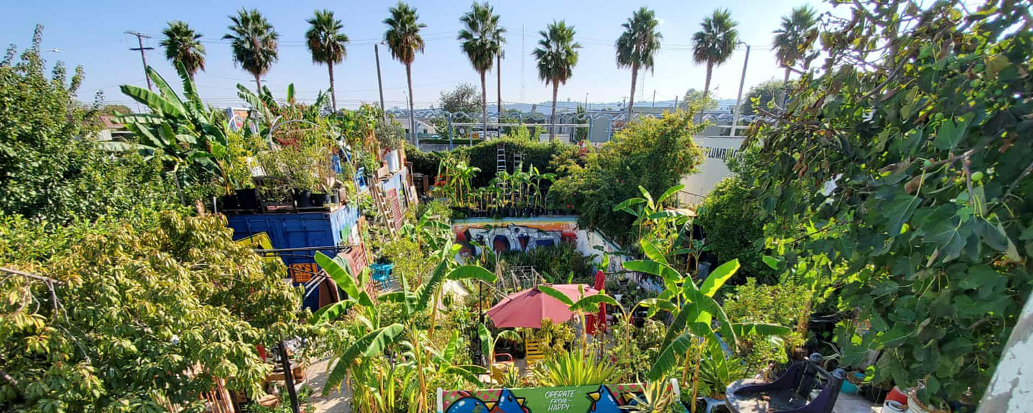 arial view of Ron Finley's garden in LA