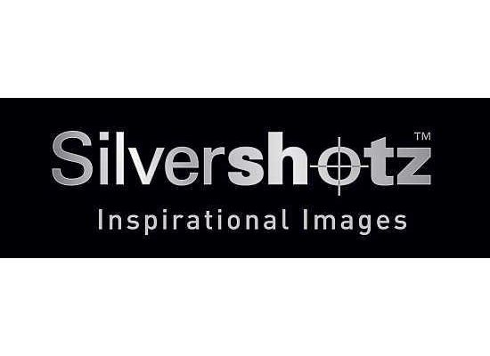 silvershotz logo contemporary photography magazine